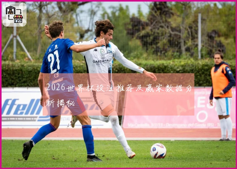2026世界杯投注推荐及赢家数据分析揭秘