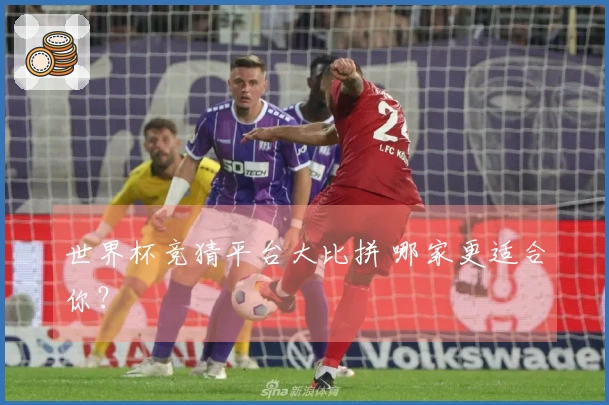 世界杯竞猜平台大比拼 哪家更适合你？