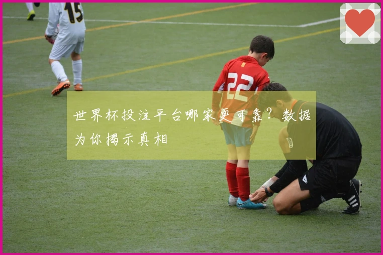 世界杯投注平台哪家更可靠？数据为你揭示真相