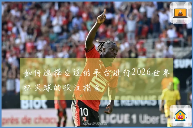 如何选择合适的平台进行2026世界杯买球的投注指南