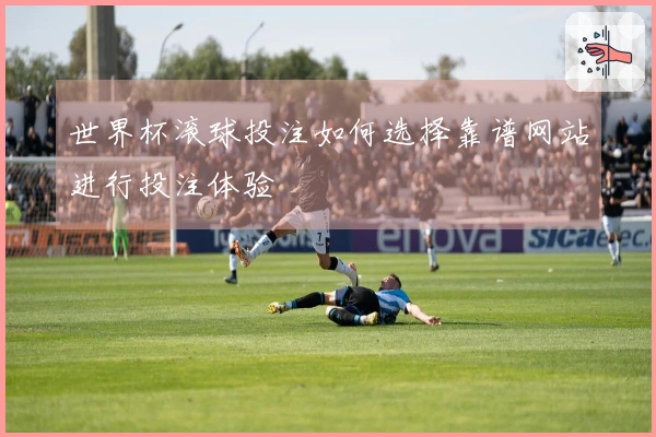 世界杯滚球投注如何选择靠谱网站进行投注体验