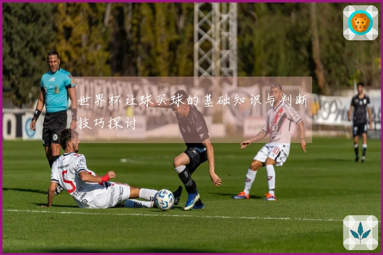 世界杯让球买球的基础知识与判断技巧探讨