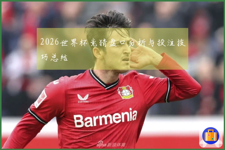 2026世界杯竞猜盘口分析与投注技巧总结
