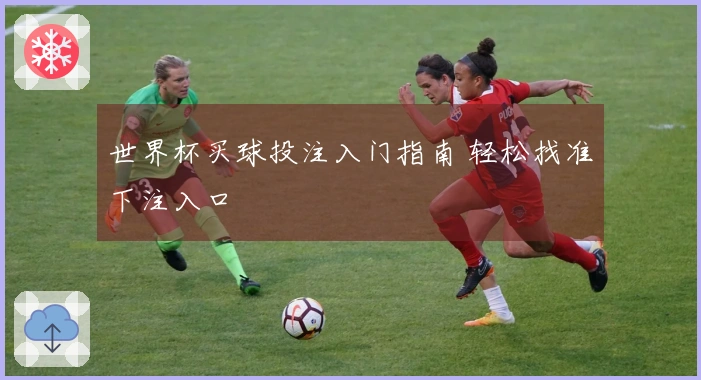 世界杯买球投注入门指南 轻松找准下注入口