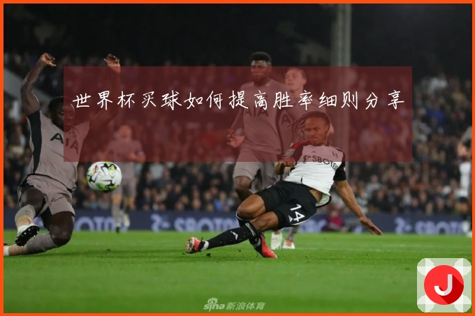 世界杯买球如何提高胜率细则分享