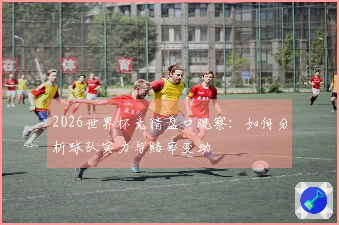 2026世界杯竞猜盘口观察：如何分析球队实力与赔率变动
