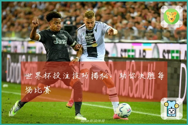 世界杯投注技巧揭秘，助你决胜每场比赛