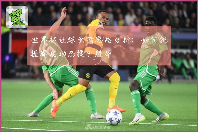 世界杯让球竞猜思路分析：如何把握赛场动态提升胜率
