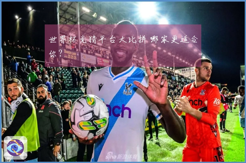 世界杯竞猜平台大比拼 哪家更适合你？