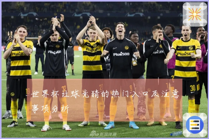 世界杯让球竞猜的热门入口及注意事项分析