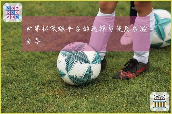 世界杯滚球平台的选择与使用经验分享